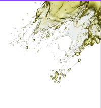 Prickly Pear Seed Oil